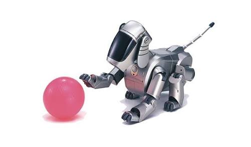 1月4日・冬休み子ども科学電話相談まとめ