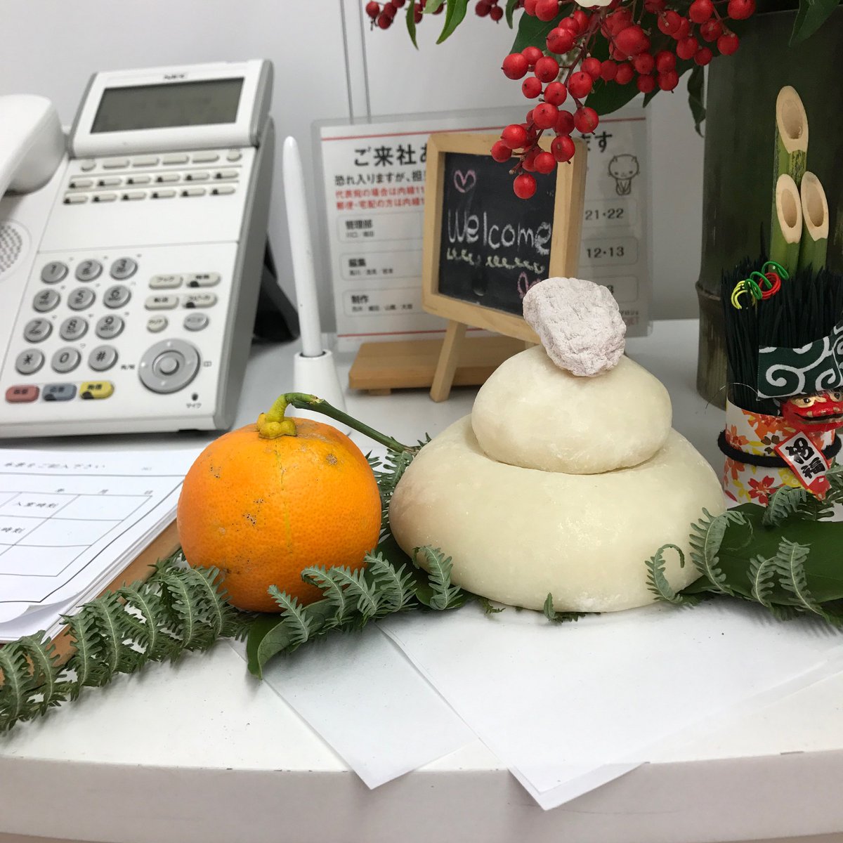 高川朋子 会社の鏡餅 ダイダイ ミカン が大き すぎて載らないので代わりに干し柿が載せられてるんですけど 買って来た人曰く この大きさしかなかった とのことでダイダイ巨大化疑惑