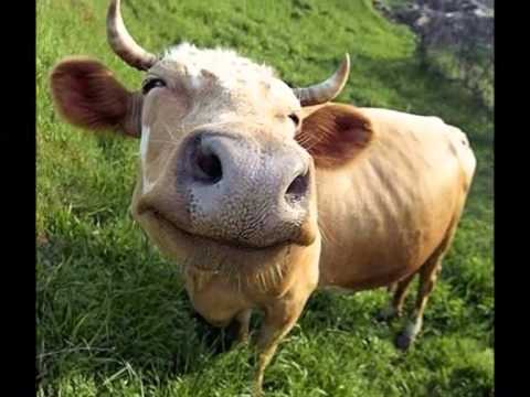 Discount codes for the #LakeDistrict direct from local businesses. 

No joining/ sign up fee... it's completely #Free

Download for Iphone here -> goo.gl/FG7ocW 
Download for Android here -> goo.gl/2LngSw

#LakeDistrictApp #LetsGetAppy #RealLakeDistrict