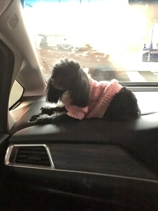 起きる 高画質 のtwitterイラスト検索結果 古い順