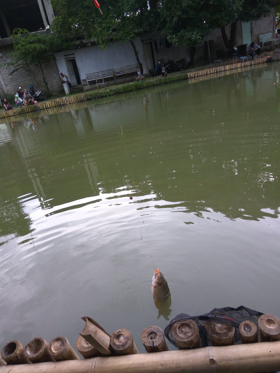 mancing mania mantap wkwkw