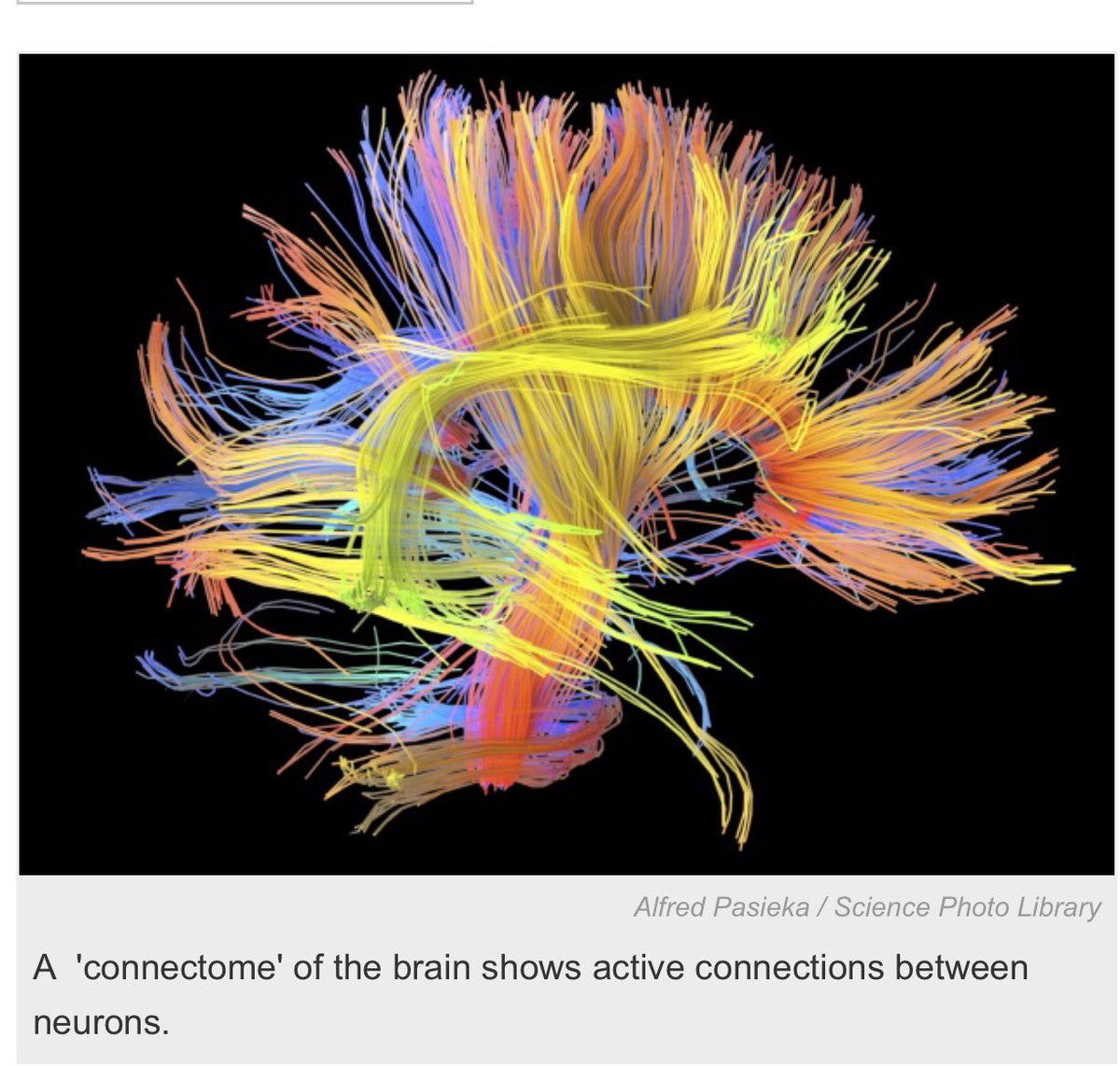 383 nöronlu beyne sahip solucan;
15.000nöronlu meyve sineği larvası;
100.000nöronlu deney balığı-zebra fish
185.000nöronlu meyve sineği

bile aynı uyarana farklı, öngörülemez yanıtlar veriyorlar.

Bir de 100milyar nöronlu insan beyninin yarattığı zihnin öngörülemezliğini düşünün!