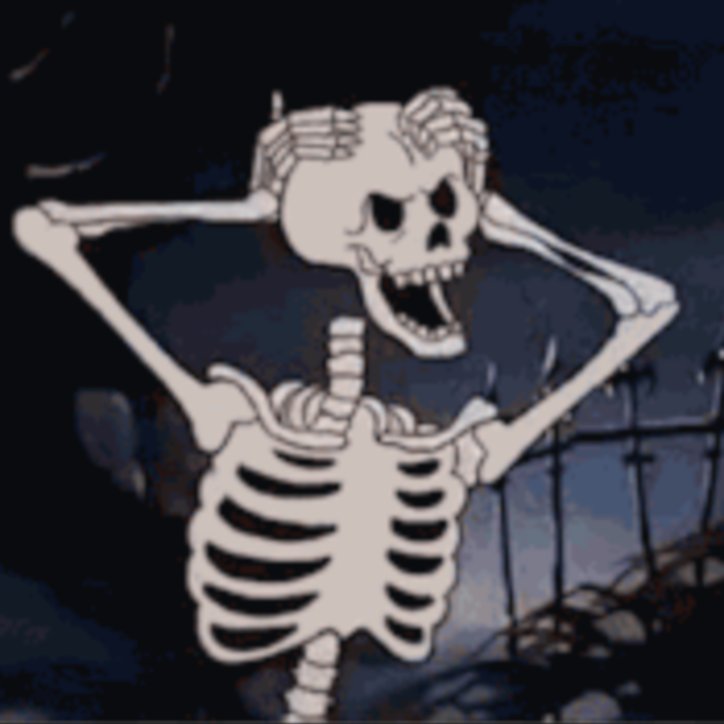 TeamSESH's tweet photo. BONES - OHNO!
https://t.co/pqa1K48C2R https://t.co/zXoQdKpwIl
