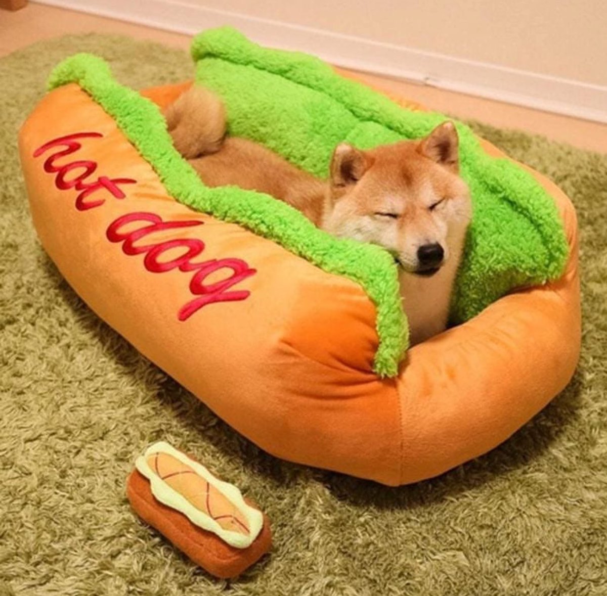 The Three C's .. #Cute #Comfy #Cushiony #hotdog #weinerdog #petbed for small & medium #dogs #petstopstore .. #puppybeds #dogbeds #puppydogs #puppies #dogloverss #puppylovers