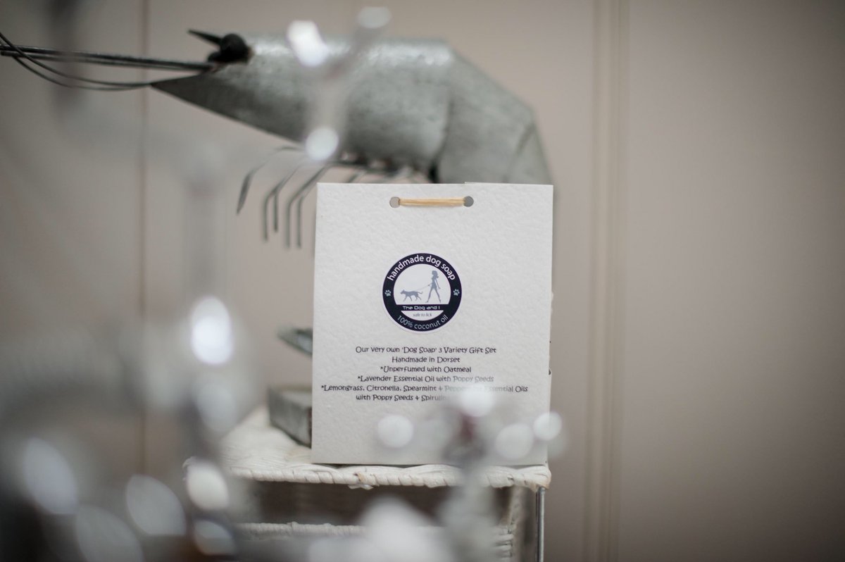 Jurassic Coast Card tweet media