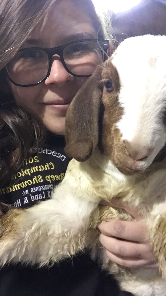 Kaitlinsmith95's tweet photo. Goat therapy is by FAR the best therapy https://t.co/jlCS57Atym