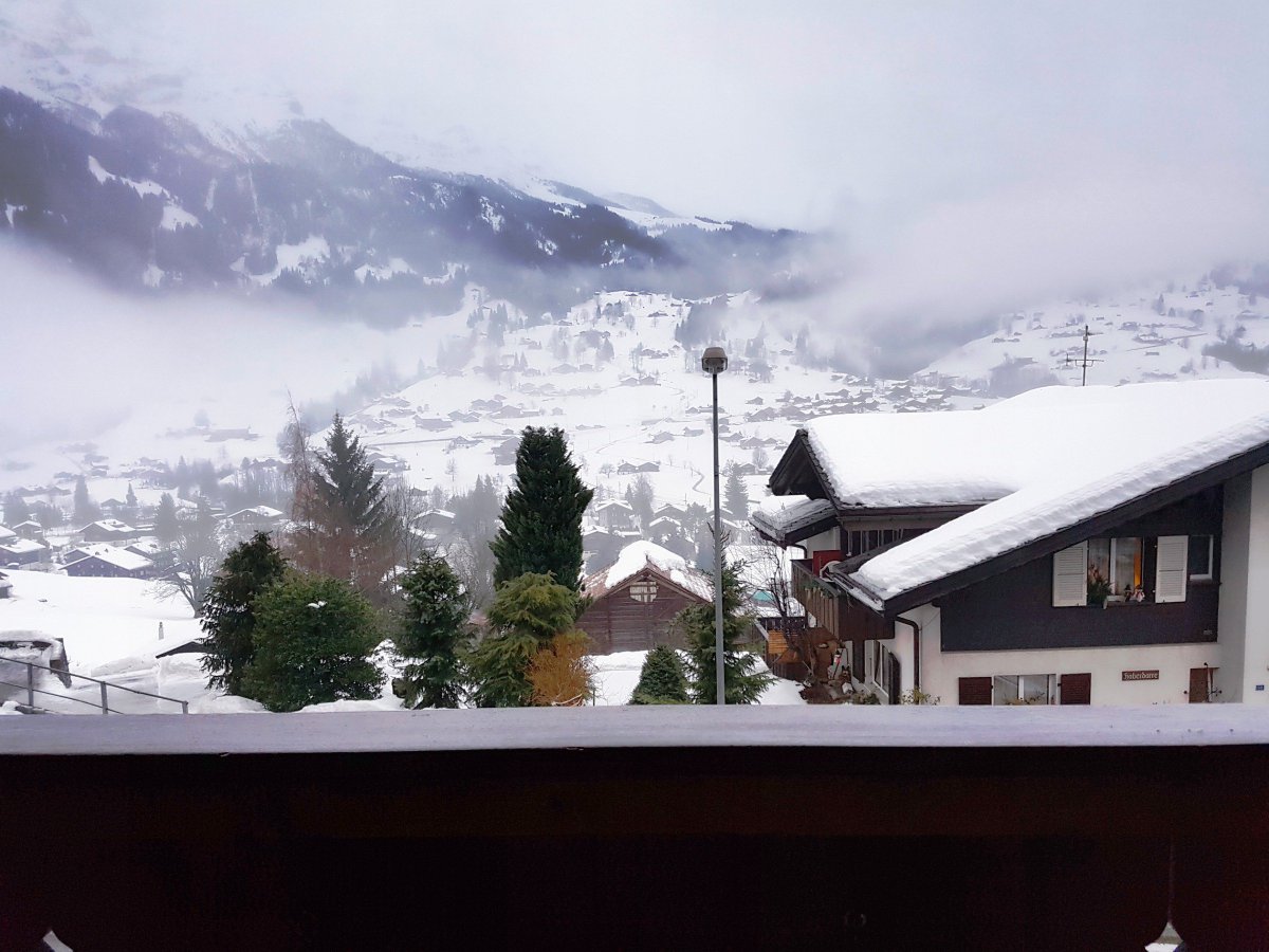 thebenchannel's tweet photo. Didn't envisage getting into a snow peeing contest with Mr. Richard Billington (@Odonate76), but my 3 year old son and I are following from Grindelwald, Switzerland. #bbccricket https://t.co/1CifHRbXon