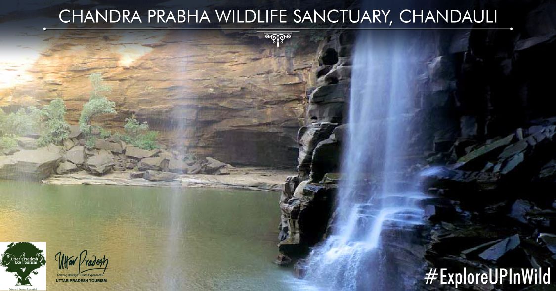 Chandra Prabha wildlife sanctuary in #Chandauli depicts great scenery of nature along with dense forests and waterfalls. The sanctuary provides home to leopards, black buck, cheetal, sambhar, wild boar, wild cats and wild fox. #ExploreUPInWild