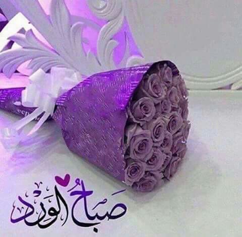 Kalibso4's tweet photo. @moaljhdly  https://t.co/M1ijfksQO6