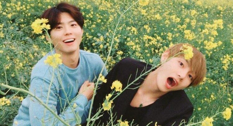 Park Bogum Probably the closest actor to Taehyung. They literally go on the cutest datest even between their tight schedules. This pair really make people feel something.