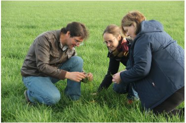 VLMtweet's tweet image. Heel wat Kempische melkveehouders maken gebruik van derogatie voor hun bemesting. Dat maakt dat ze extra stalen moeten nemen. Af en toe duiken er problemen op na gescheurd grasland. #MAPMAN #derogatie #waterkwaliteit #nitraatresidu bit.ly/2lTEBJN