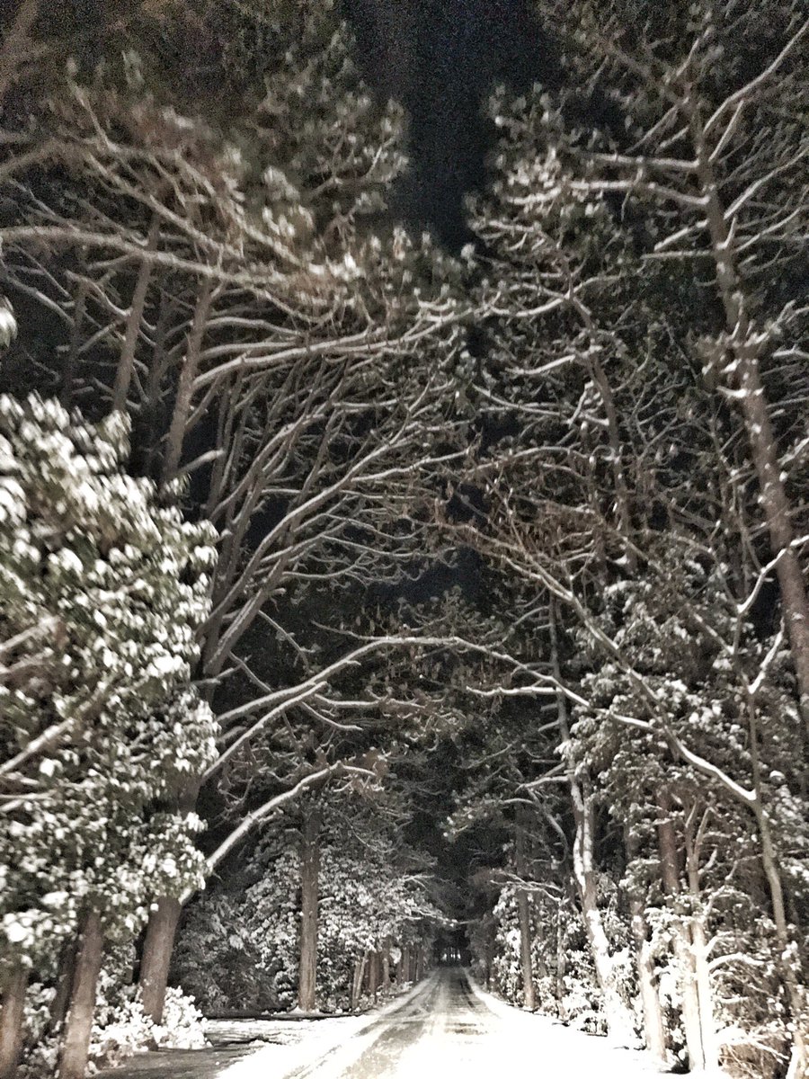 kendraleenc's tweet photo. #Pinehurst #abc11 #abc11eyewitness @BigweatherABC11 https://t.co/J8Oq3OeL3r