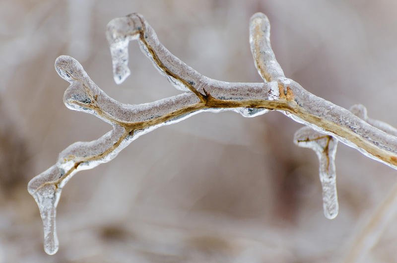 The Big Chill: How Vermonters Cope With Dangerous Cold dlvr.it/Q8s3ky https://t.co/ZMCiAbQ0fO