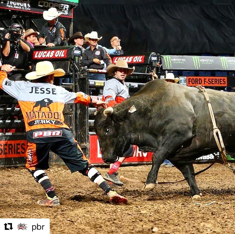 Make sure no one gets in your way this #Thursday!
.
Repost 📷 <a href="/pbr/">PBR</a>