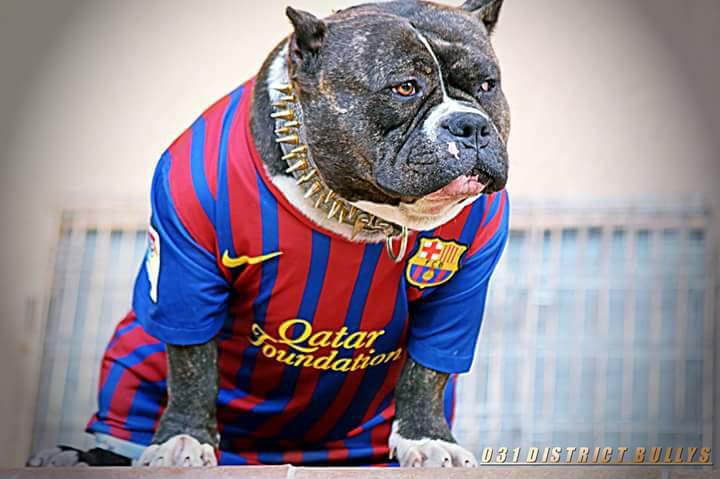 UnionBully's tweet image. 