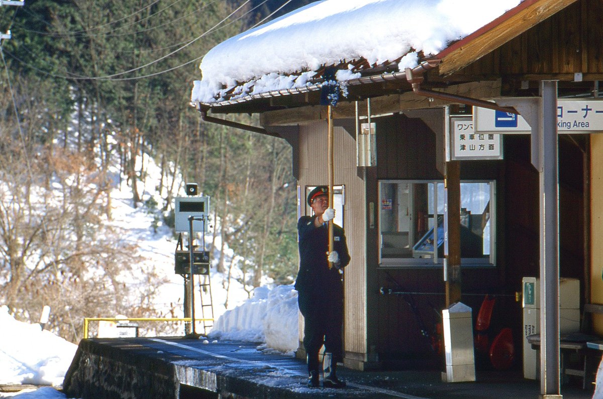 どーらく tweet media