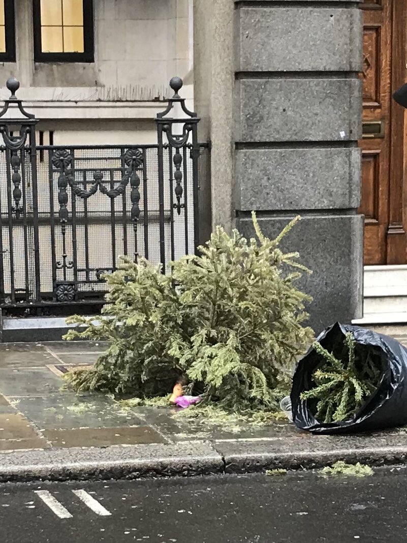 gary_avis09's tweet photo. Saddest time of year! π #byebyetree #christmasisover https://t.co/QwJrhaRMXf