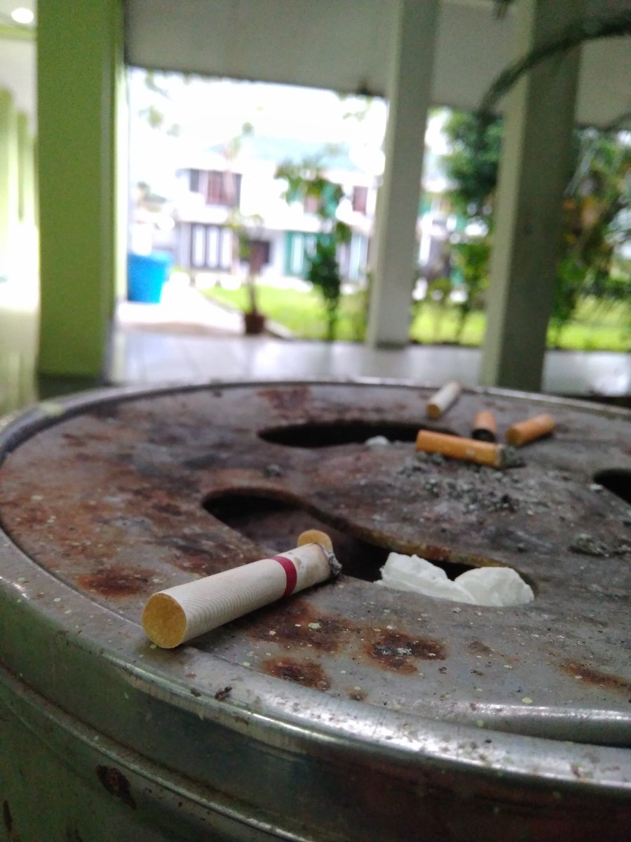 ta_zio's tweet photo. Gambar 1 jepretan dari app kamera asli hape yang ke 2 dari app google camera https://t.co/QelcgzPSxO