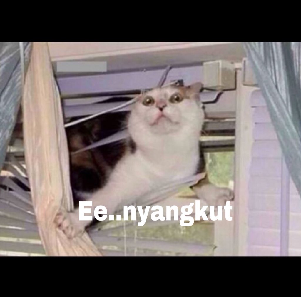 cutiechks's tweet photo. @Sxcboyxx @aintbitjh @ssugarf @iceycave adapa ini adapa!? https://t.co/YOIhSpgSpI