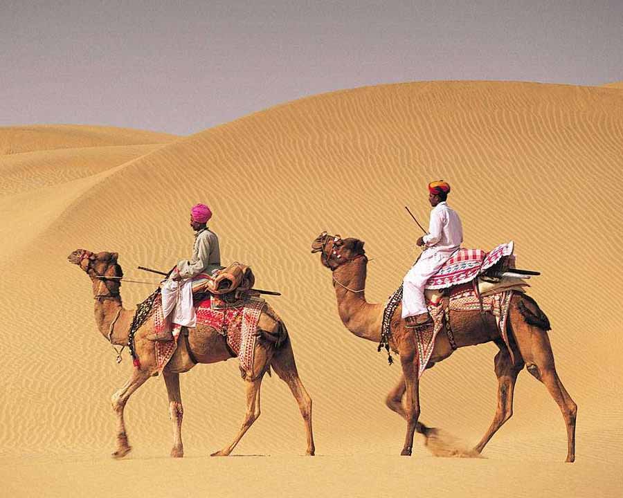 #BikanerTourism - The Camel Country - bit.ly/2j5eTCr