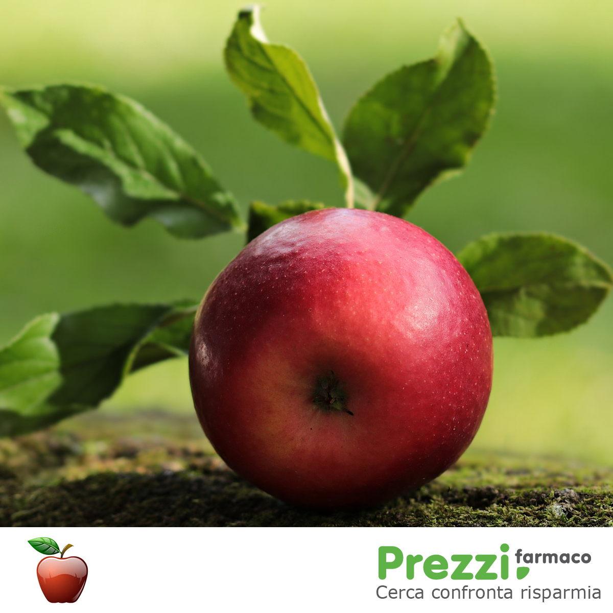 MrBugiardino's tweet photo. "Una mela al giorno toglie il medico di torno" 
Le mele contengono:
🍏Pectina per mantenere la glicemia a livelli normali
🍏Acqua per migliorare l'idratazione
🍏Vitamina C come antiossidante
🍏Fibre per regolare l'intestino
🍏Fluoro per la salute dei denti

#saluteebenessere https://t.co/DcCZR109VY