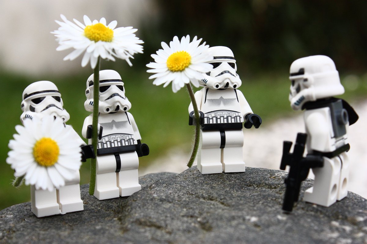 UgbBe's tweet photo. We hope that you all had a great winter holiday. Team UGB is already back at the office ready to step further with our project. Although during wintertime green spaces are sleeping, we are working hard to be prepared when nature (and the #force) awakens in spring! Happy 2018! https://t.co/PSD6xqzlI1