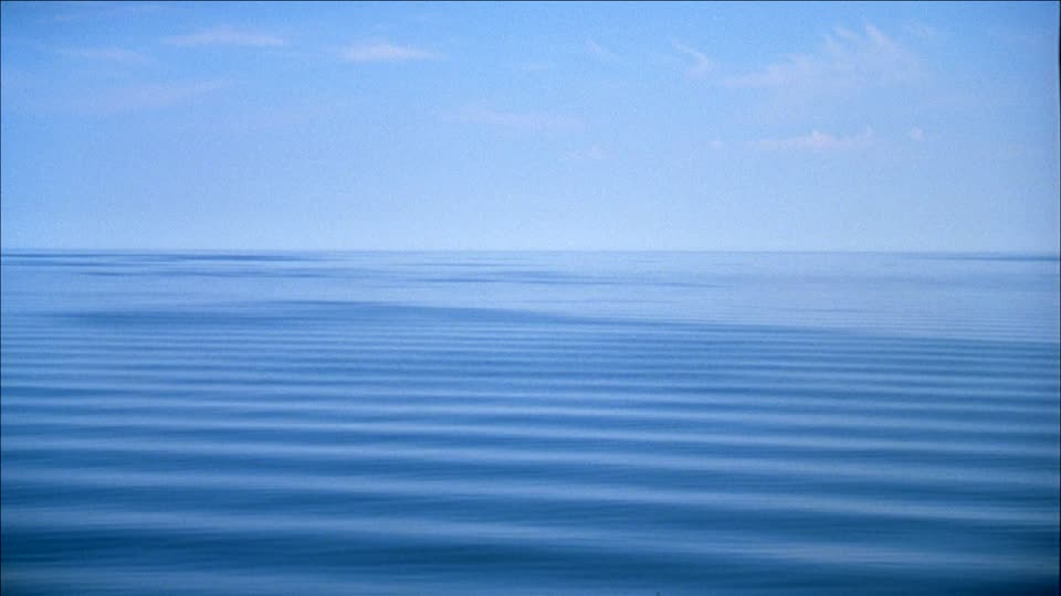 Marie Borni tweet media