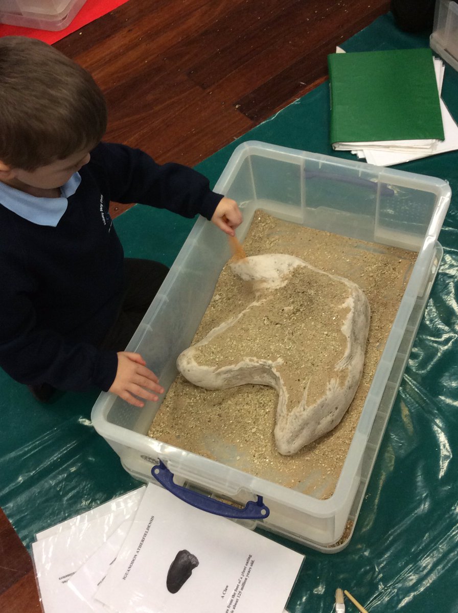 AHPA_Year1's tweet photo. 1W are having lots of fun hunting for fossils and finding out about them. @AHPA_Year1 https://t.co/VUphayq2MY
