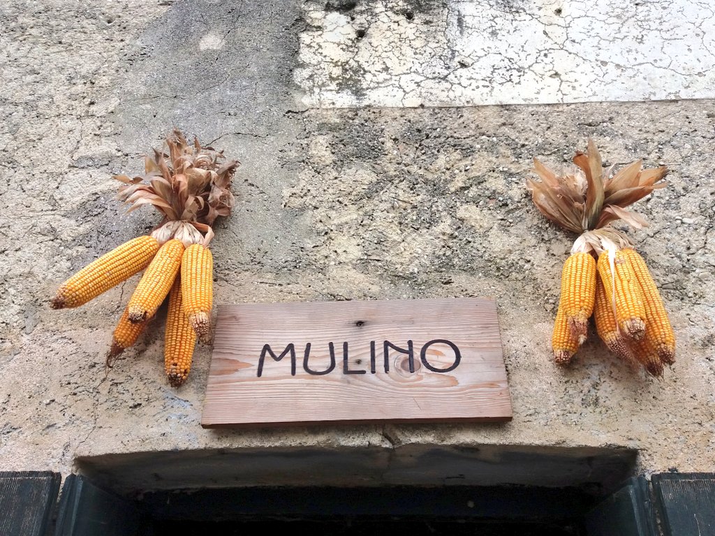VisitFVG's tweet photo. Al # presepe di #corgnolo si fanno piacevoli e inaspettati incontri nella zona del #mulino 😉 🐖

#fvglive #ilikeitaly #fvg https://t.co/4t5nu5V4dA