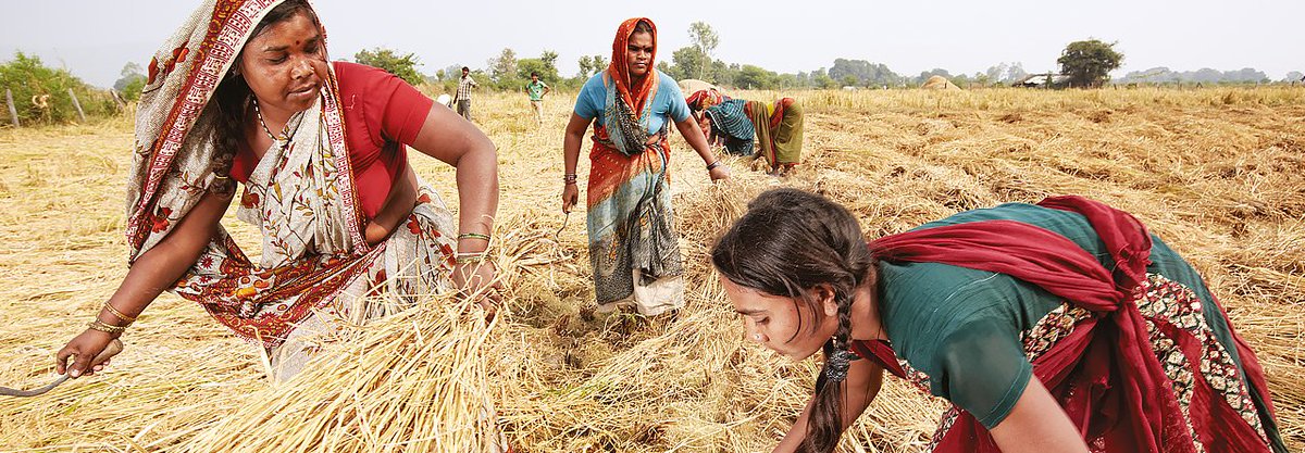 Did you know: women account for 70 percent of Africa’s food production? From Ethiopia to Australia, here’s how women are the backbone of #agriculture: cropscience.bayer.com/en/stories/201… 
#GenderEquality