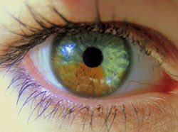 Zaraayann's tweet photo. 憧れのEye color👀🏳️‍🌈🌞 https://t.co/iN5jjOROEj