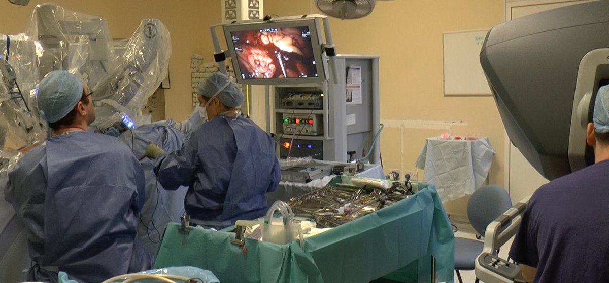 Real Robots tweet media