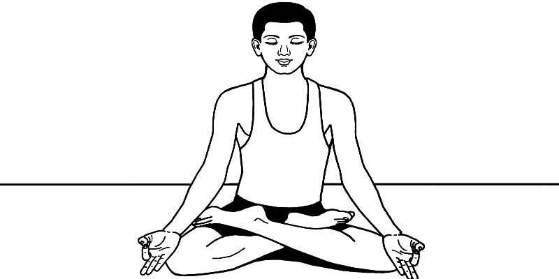 Mh28in's tweet photo. पद्मासन https://t.co/p5jUDds7Mt https://t.co/Md86yCXELT