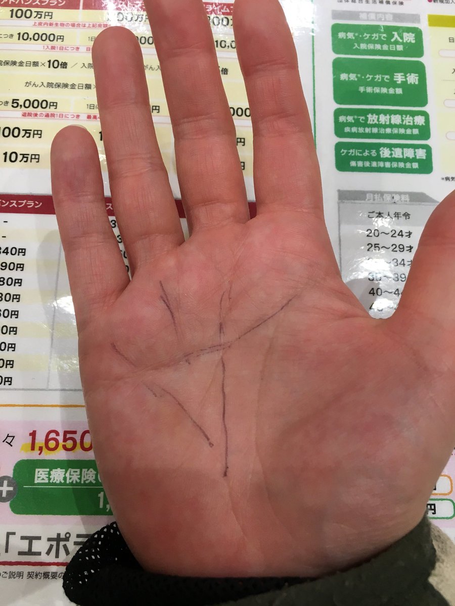 覇王線 三奇紋 とは あると貧乏 金運などがわかる手相占い10選 2ページ目 セレスティア358
