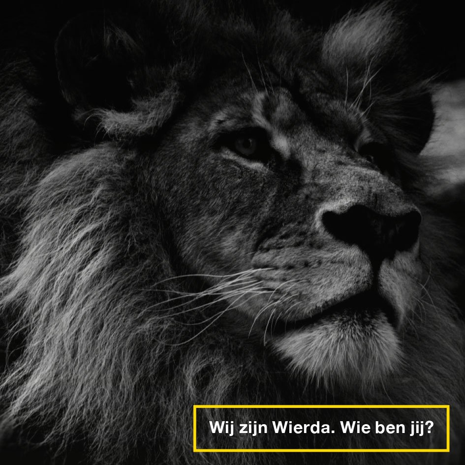Wil je in 2018 weer SLEUTELEN aan vrachtwagens? Of wil je bouwen aan een SCHONERE wereld?  werkenbijwierda.nl #vacature