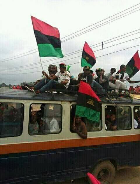 ObinwannemNews tweet picture