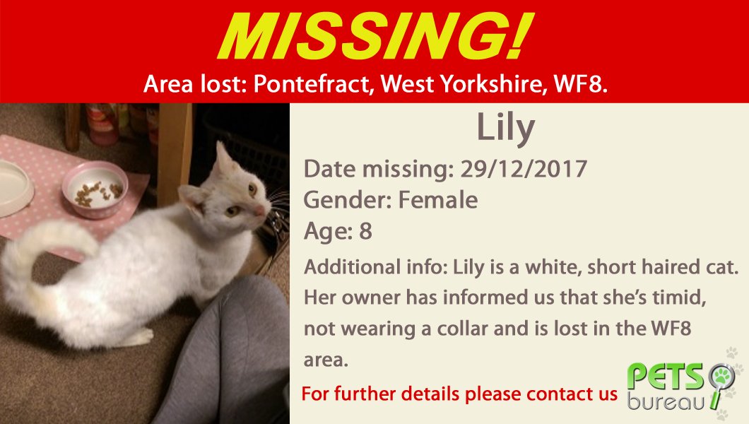 ❗️ #MISSING ❗️

Please help us find Lily the #cat #lost from #Pontefract, #WestYorkshire, #WF8.

Lily has been missing since 29th December. If you have any information or possible sightings, please don't hesitate to get in touch.

Let's get her back home to her family! 🔍