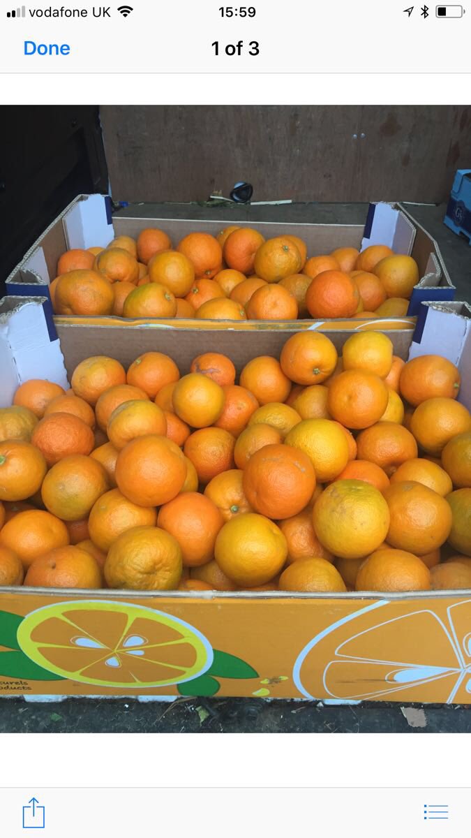 Seville oranges in stock