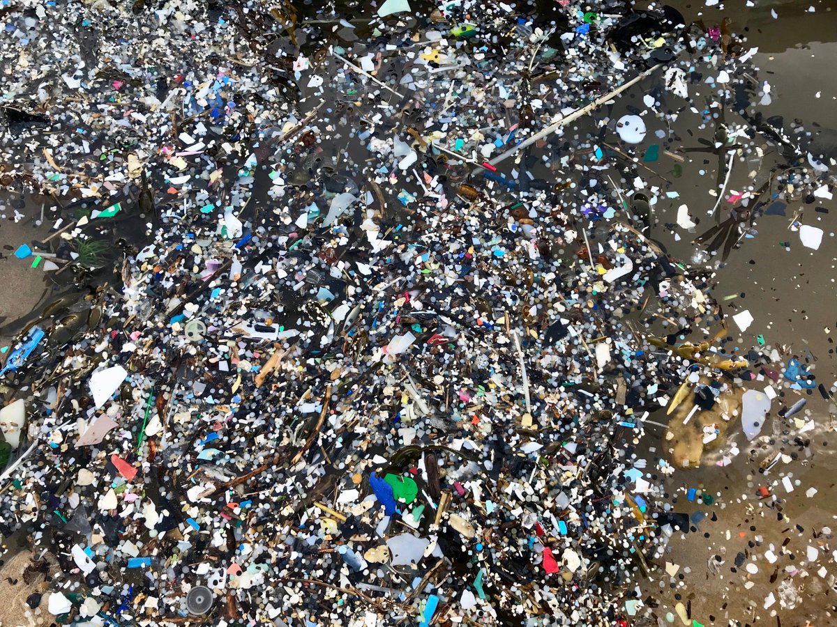 Newquay Beachcombing tweet media