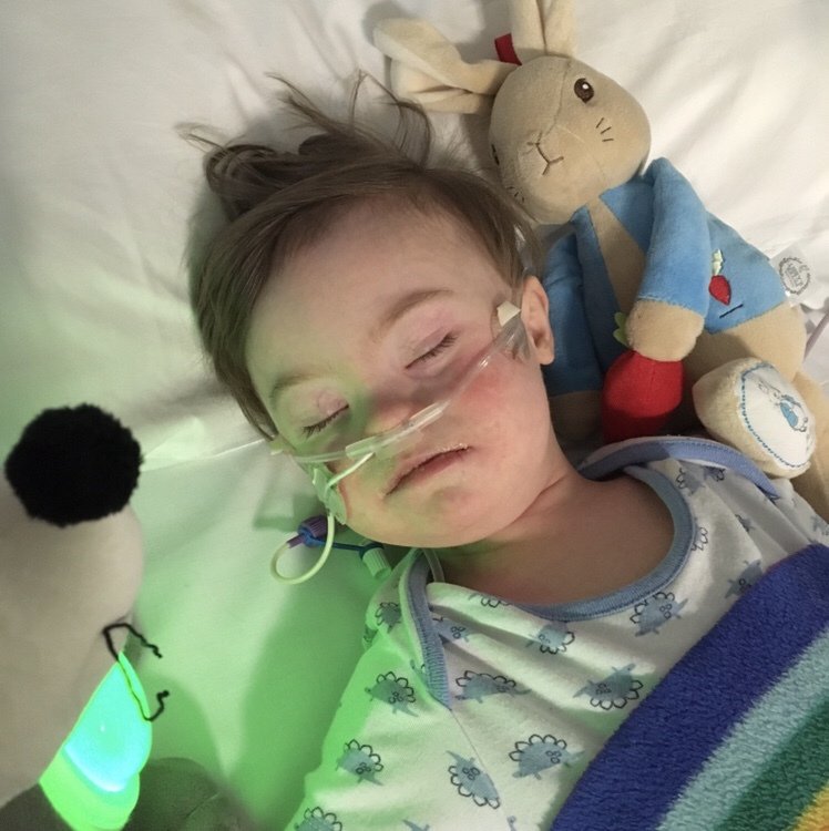 Our little fighter georgejonessite.com/2018/01/04/our…
