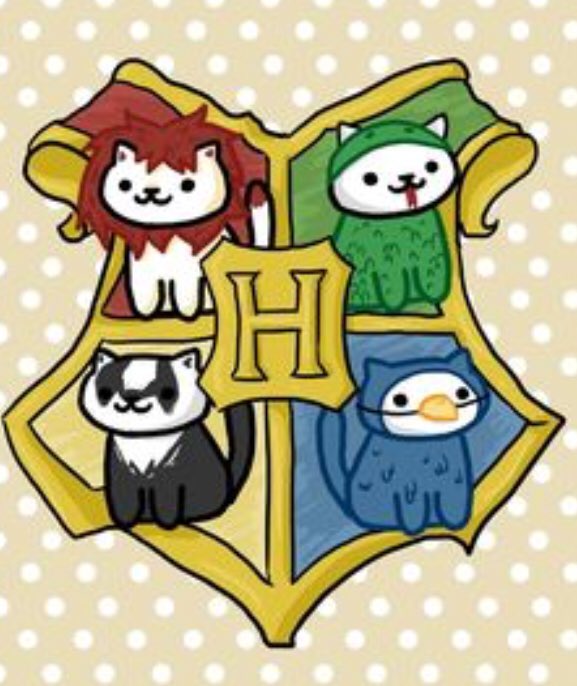 Ronciere6's tweet photo. #HarryPotter https://t.co/CHFaW3rjew
