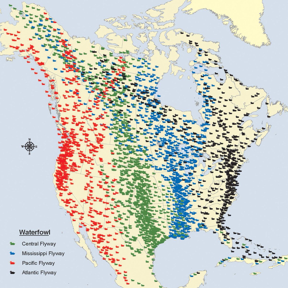 Ducks Unlimited Migration Map Map Of The World