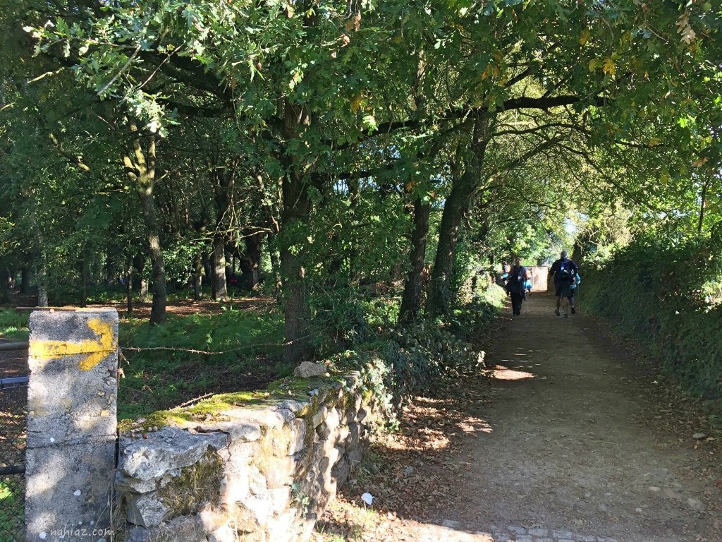 nahiaz_com's tweet photo. #buencamino  #peregrinos #2018 #caminosantiago https://t.co/bSW1OZt3BH