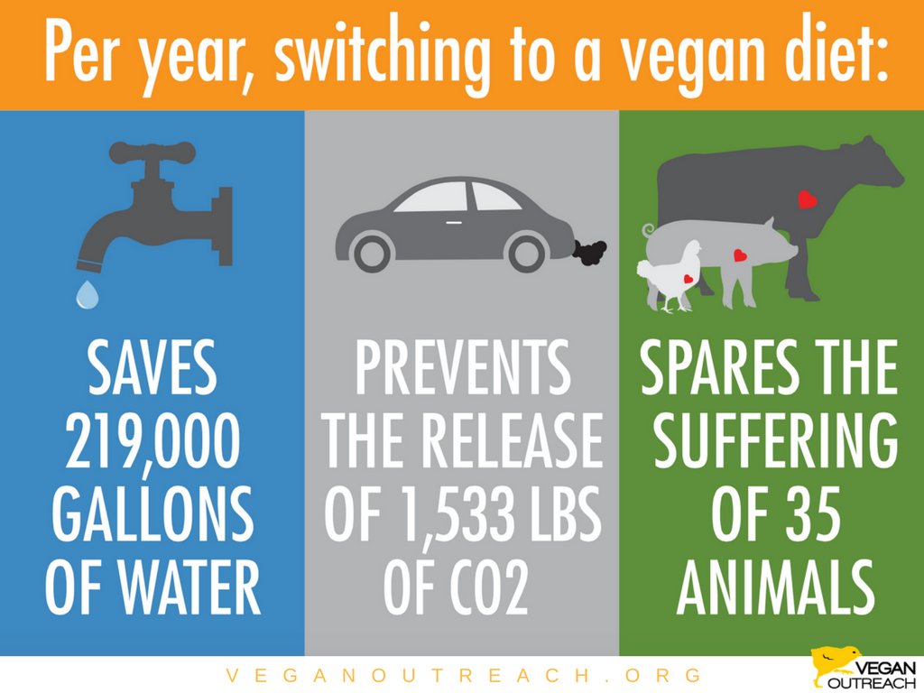 veganoutreach's tweet photo. Did you know? https://t.co/oecmIYeMqB