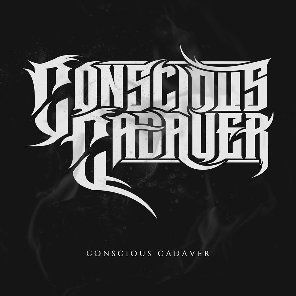 consciouscad's tweet photo. Happy New Year! We hope everyone had a safe, but sloppy holiday. 2017 provided us with tremendous growth; the fine tuning of our sound, our image, and what we represent as a band. We have officially finished writing our first full length album and have entered the studio. https://t.co/LMN9lx9fC7