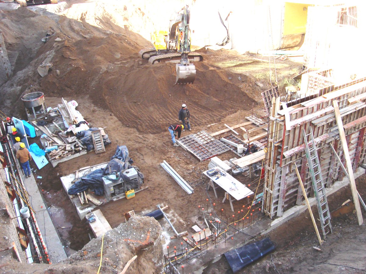 iramcdonald's tweet photo. #TBT -10 yrs: beginning phases of an extensive rejuvenation & expansion project. Honoured to have been the Construction Manager of the innovative & efficient, visually stunning, LEED Gold Certified Camilla and Peter Dalglish Atrium. @RBGCanada #valuedrelationship @DiamondSchmitt https://t.co/eIYC0rNFz2