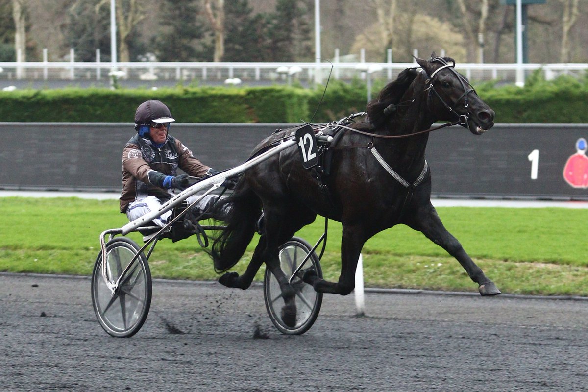 moncorge_c's tweet photo. #MonChevalduMeeting Et hop mon p'tit poney noir gagne son Gr.3 à @vhpofficiel Merci @StallZet You said in August "#Sorbet could be my next #CallmeKeeper" #GoodJob with @goopbjorn https://t.co/WXc8qjGc9T