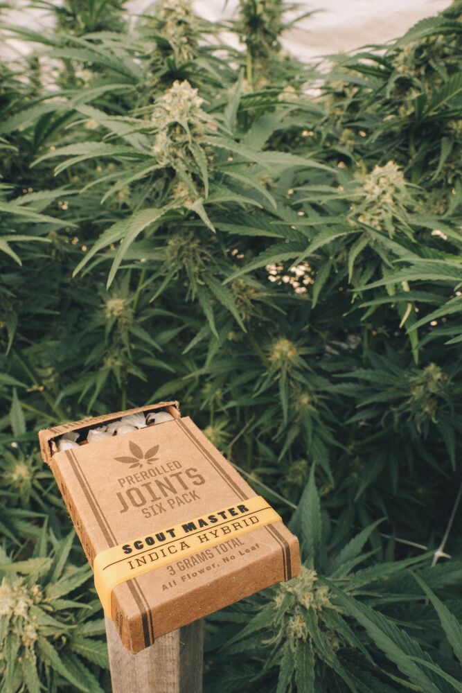 Enjoy as nature intended. Experience what #humboldtsfinest has to offer today!