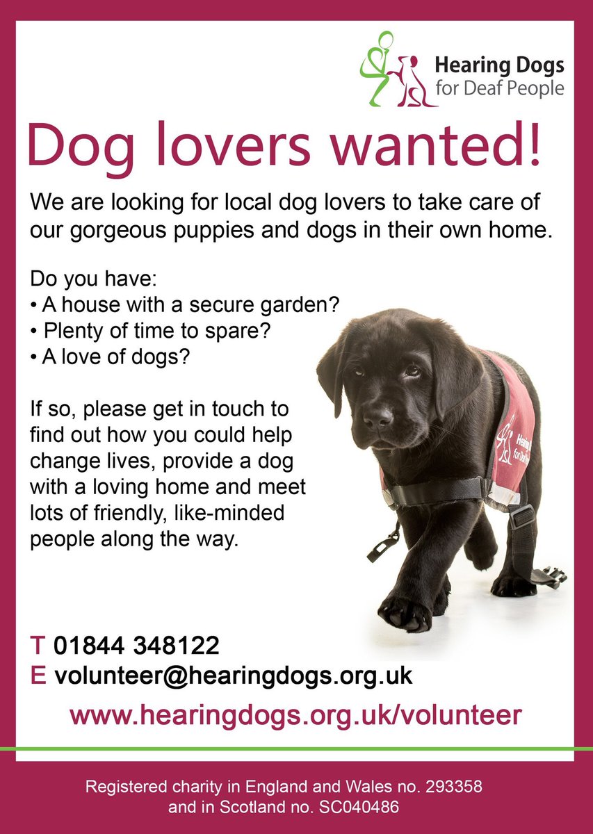 RT plz <a href="/petregister/">National Pet Register</a> <a href="/dhkeith/">Isle Of Man Prison Dog Section</a> <a href="/DearestPets/">Dearest Pets</a> <a href="/TheKennelClubUK/">The Kennel Club</a>