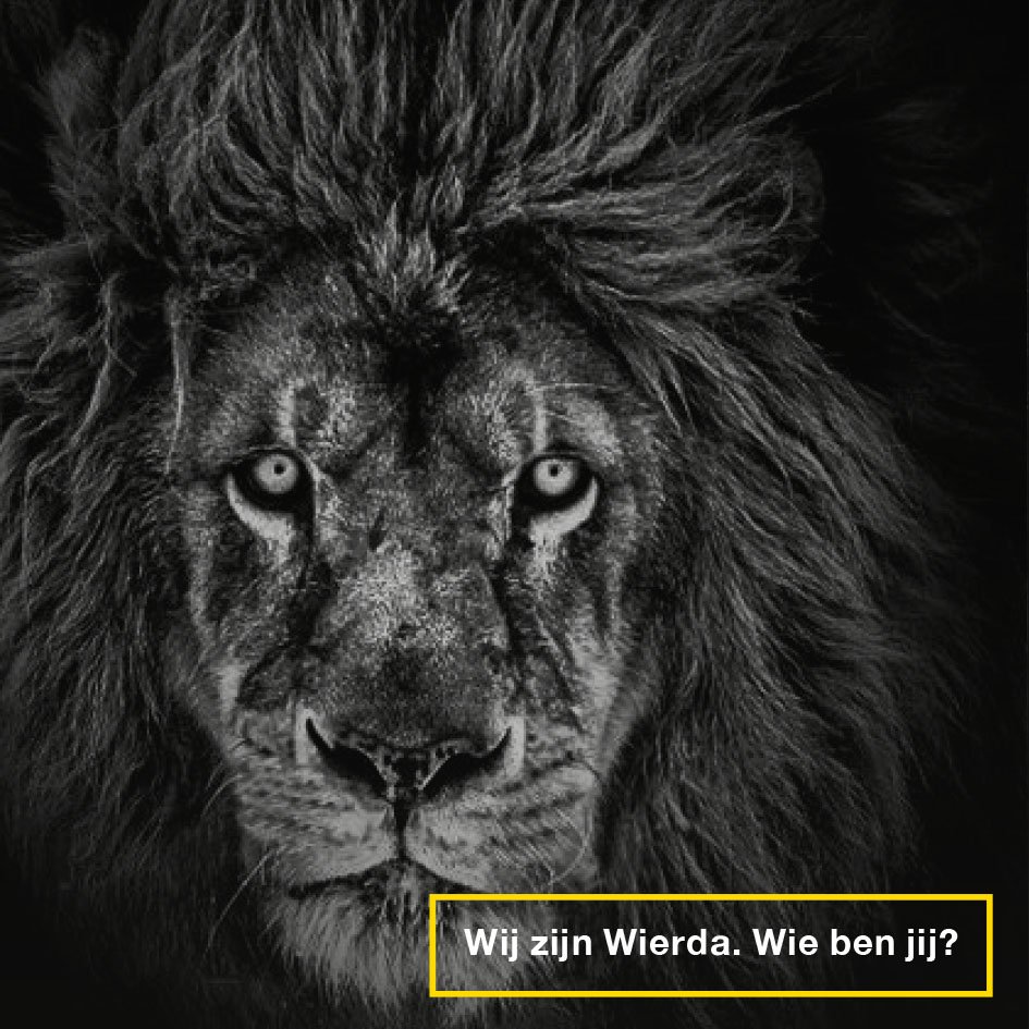 Ga je in 2018 weer TRUCKS onderhouden? Of ga je ze liever BOUWEN? werkenbijwierda.nl